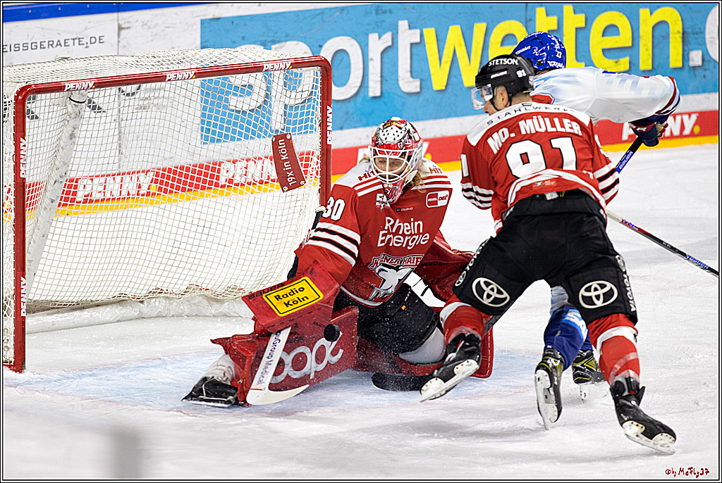 PENNY DEL;  Kölner Haie - Adler Mannheim; Köln, 04.11.2022